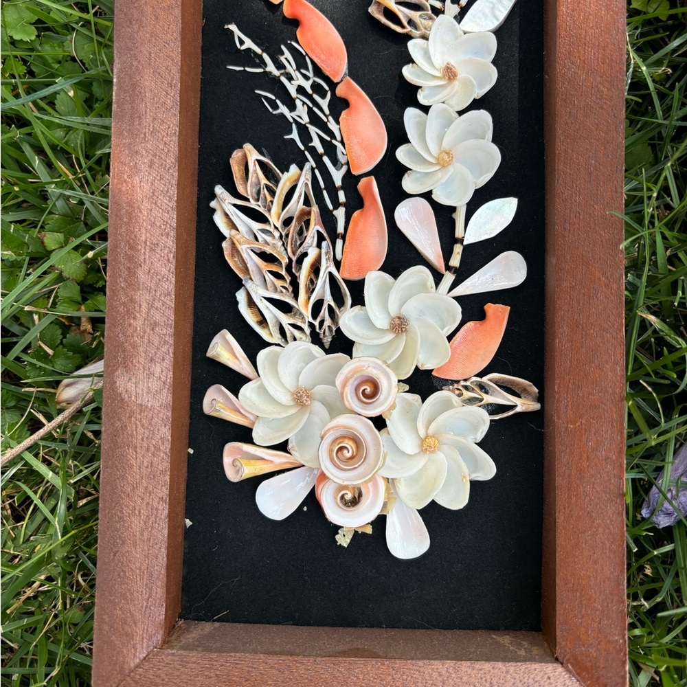 Rare Vintage Seashell Shadow Boxes ~ Wood & Black Velvet ~ Set of 2 - Picture 5 of 7